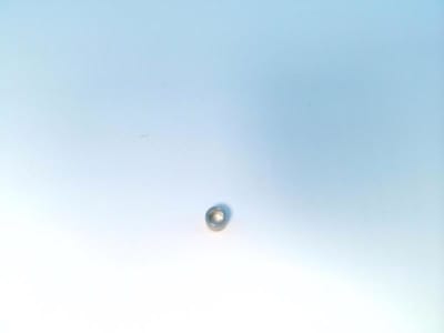 SCHUNK 9939384