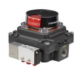 TOPWORX TXP-L21GNPM