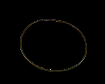 AP SERVICES 1000141298