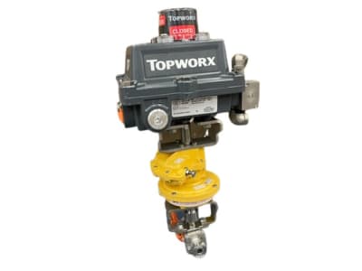 TOPWORX DXP-L21GS4B1621