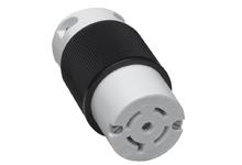 MOLEX 27T81