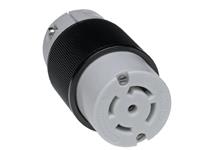 MOLEX 29T81