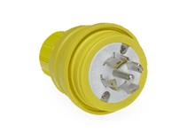 MOLEX 26W83