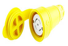 MOLEX 29W81
