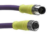 MOLEX BB5S31PP4M010