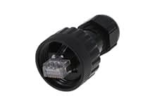 MOLEX ENQAM315