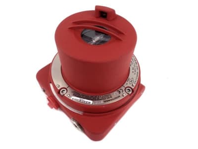 GENERAL MONITORS INC FL3101-1-1-1-3-1-1-1