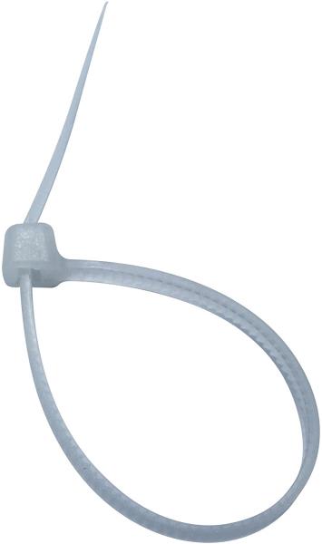 CAMBRIDGE RESOURCES CT4-18M9