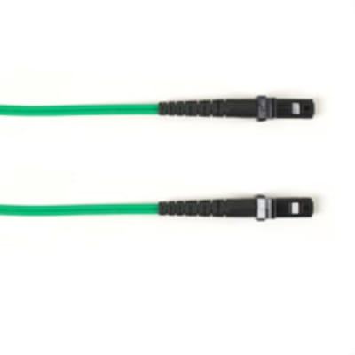 BLACK BOX CORP FOCMP10-020M-MTMT-GR