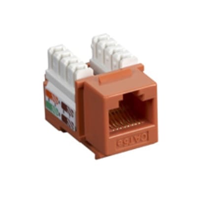 BLACK BOX CORP CAT5EJ-OR-10PAK