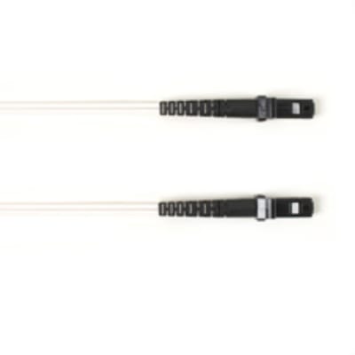 BLACK BOX CORP FOCMR10-001M-MTMT-WH