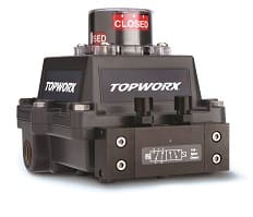 TOPWORX DXP-T21GNEB8A2