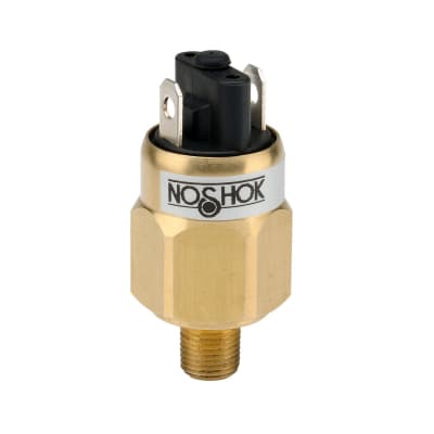 NOSHOK 100L-2-1-15/100-4