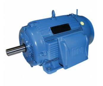 WEG TE01F0X0T0000302308