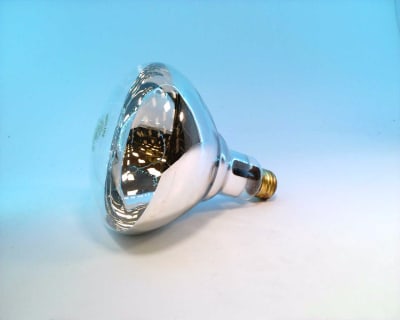 PHILIPS 250BR40/1-120V