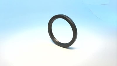 INTERNATIONAL SEAL & PACKING R00217