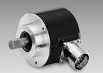 BAUMER ELECTRIC 11031597