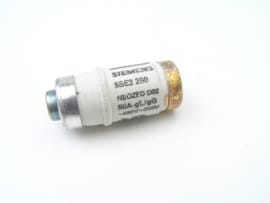 SIEMENS 5SE2-250