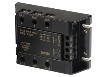 AUTONICS SR2-4250