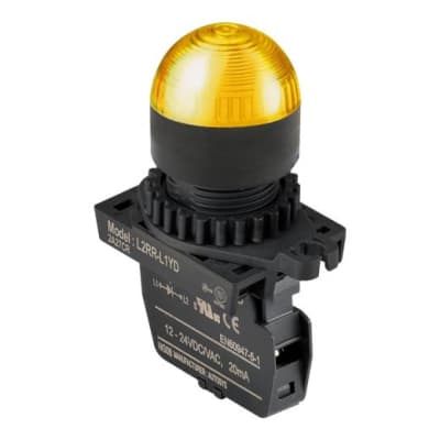 AUTONICS L2RR-L1YL
