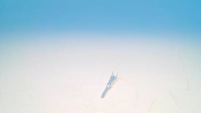 PHOENIX CONTACT CK1 6-ER-1 50ST AG