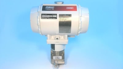 EMERSON FLOBOSS 103