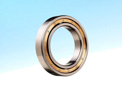SCHAEFFLER GROUP 6217-M-C3