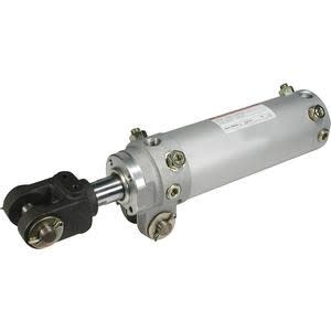 SMC CK1B63-100Y