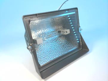 REGENT LIGHTING CGP500WL