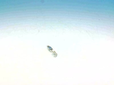 PHOENIX CONTACT STG-MTN 1,5-2,5