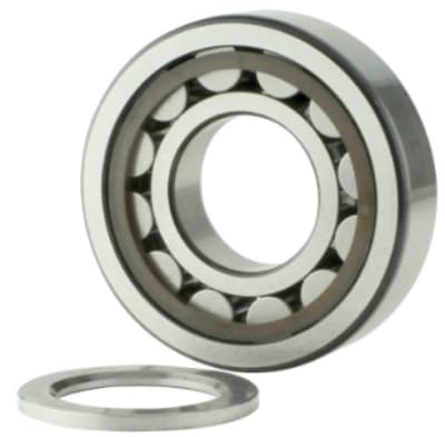 SKF NUP 304 ECP