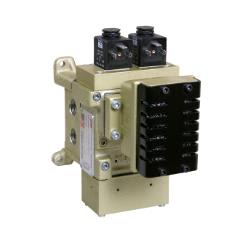 ROSS CONTROLS DM2DNB42A21