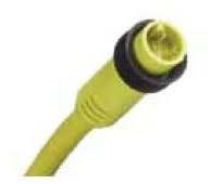 MOLEX 1300061681
