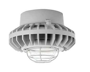 RAB LIGHTING HAZPLED42C-G