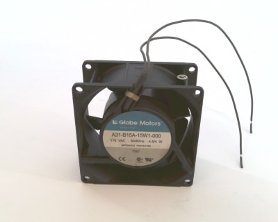 GLOBE MOTORS A31-B15A-15W1-000