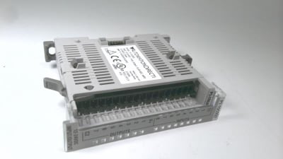 AUTOMATION DIRECT P1-15CDD2