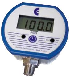 ABSOLUTE PROCESS INSTRUMENTS DPG1000DR5PSIG-V-HA
