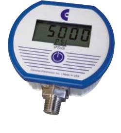 ABSOLUTE PROCESS INSTRUMENTS DPG1000BBL15PSIG-10-HA