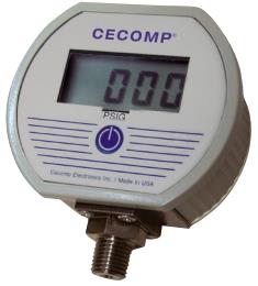 ABSOLUTE PROCESS INSTRUMENTS DPG2000B500PSIG-D4-M8-TP