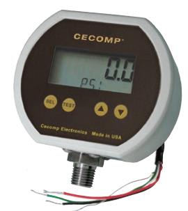 ABSOLUTE PROCESS INSTRUMENTS F16DRNBL5100PSIG-V-HA