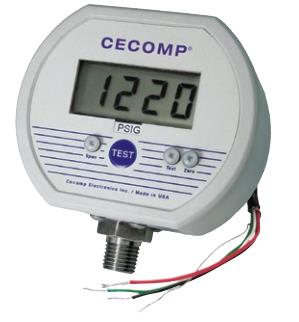 ABSOLUTE PROCESS INSTRUMENTS F4DR5PSIG-V-HA