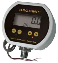 CECOMP ELECTRONICS F16LSCN480ZING-CC