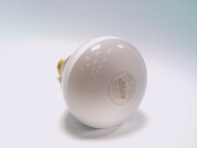 FEIT ELECTRIC 45R20-130