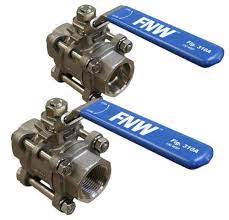 FNW VALVE CORP FNW310ASWG