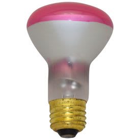 DAMAR 00237L