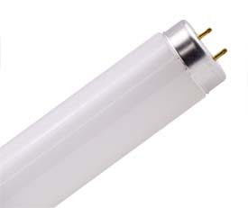 DAMAR 00558E