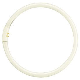 DAMAR 00552J