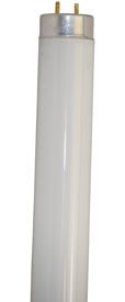 DAMAR 01793C