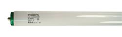 DAMAR 00972C