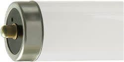 DAMAR 00939C